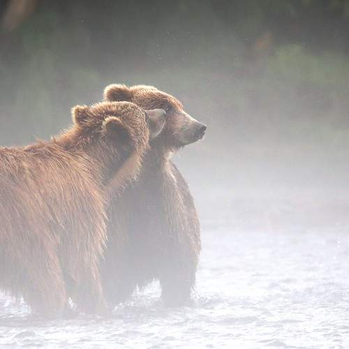 Photo #7376084