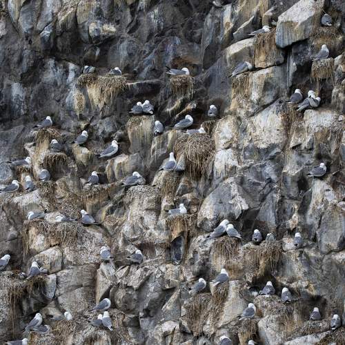 Photo #7376162
