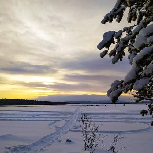 Photo #7376386