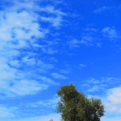 Photo #7376904
