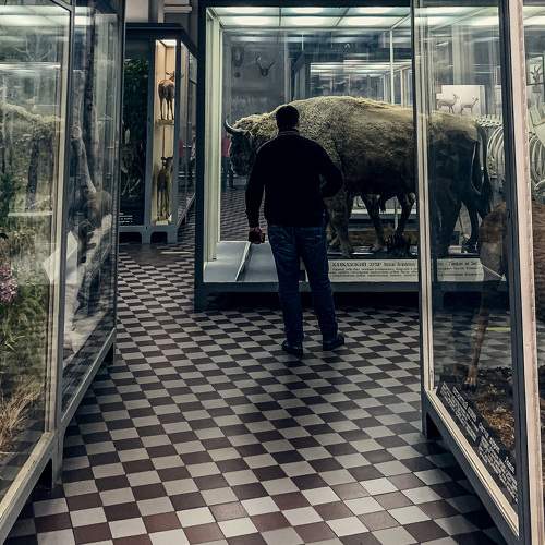 Photo #7376950