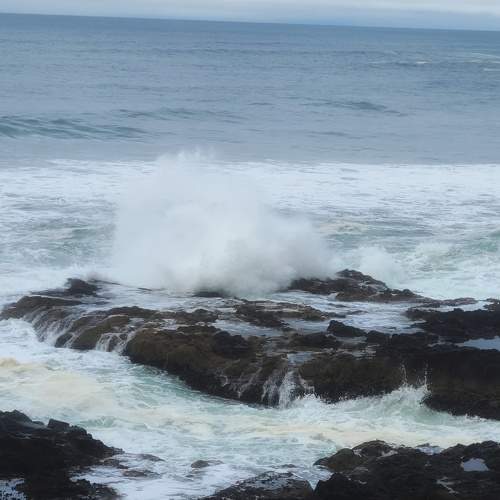 Photo #7377282