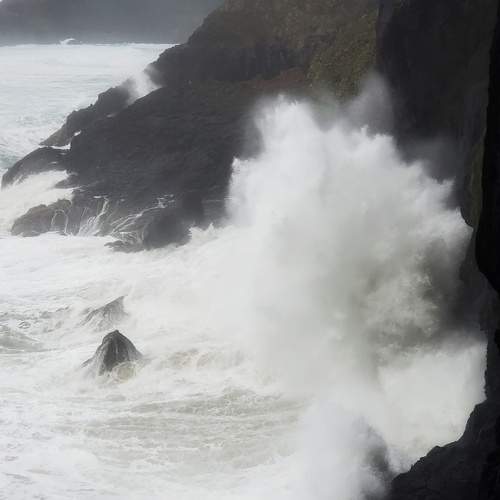 Photo #7377298
