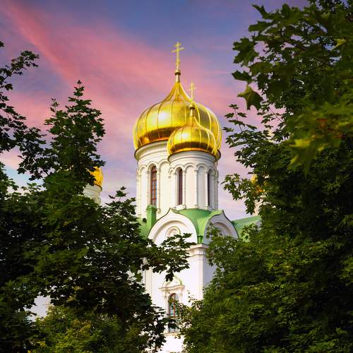Photo #7377385