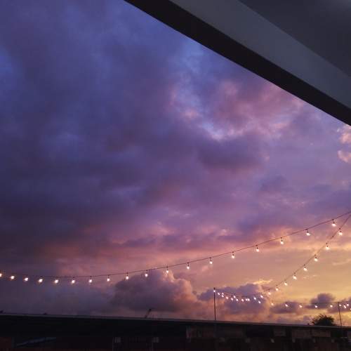 Photo #7377419