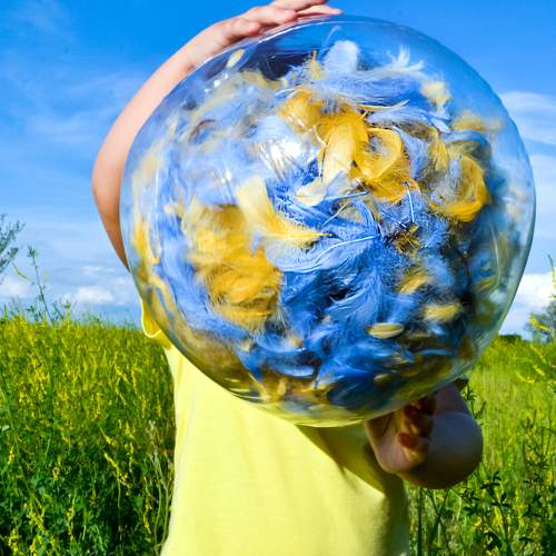 Photo #7377478