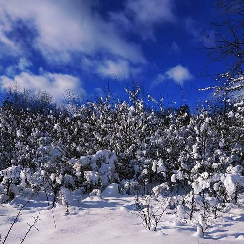 Photo #7377539