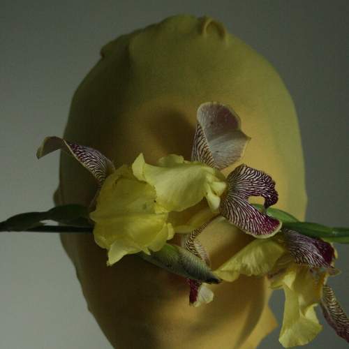 Photo #7377659