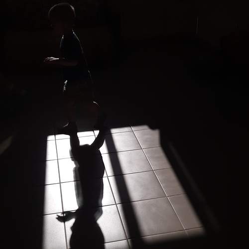 Photo #7377780