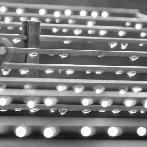 clothesline with dew drops