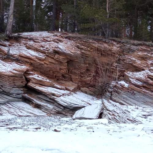 Photo #7377950