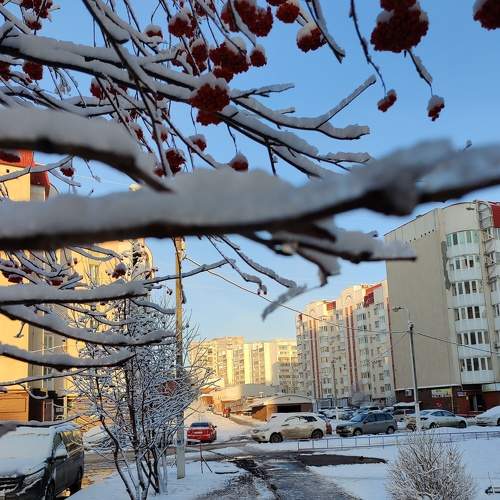 Photo #7378049