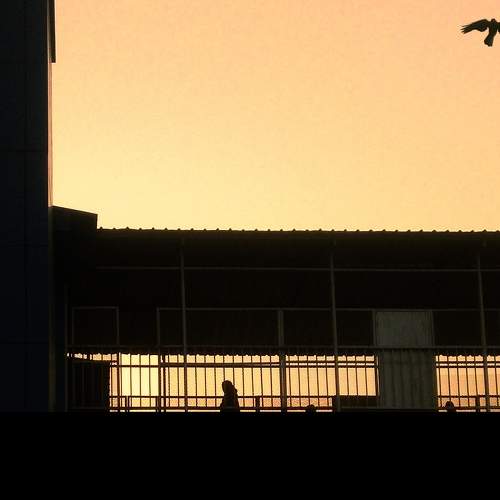 Silhouette