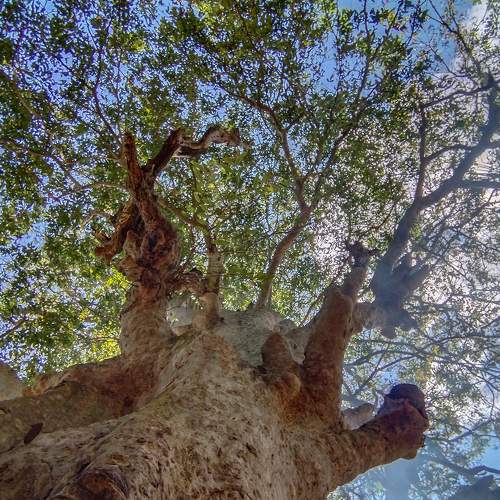 Photo #7378151
