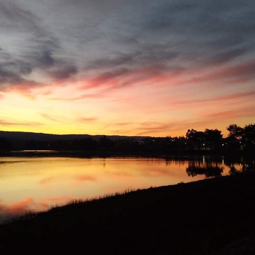 Photo #7378187