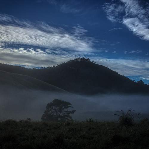 Photo #7378342