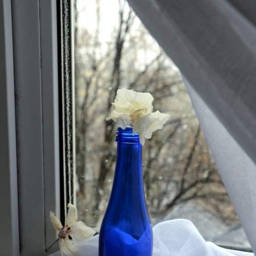 Photo #7378390