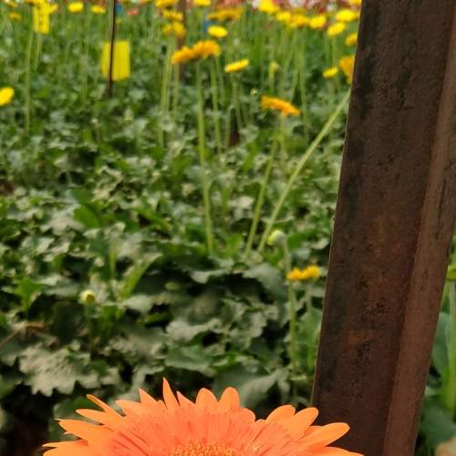Photo #7378559