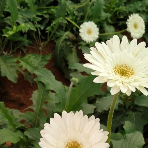 Photo #7378580