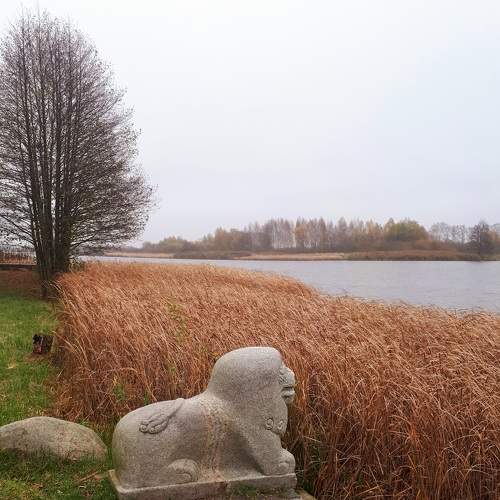 Photo #7378734