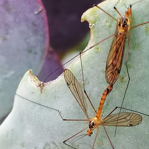 Photo #7378739