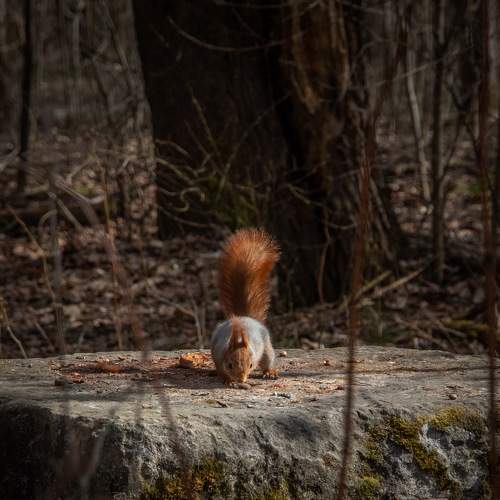 Photo #7378816