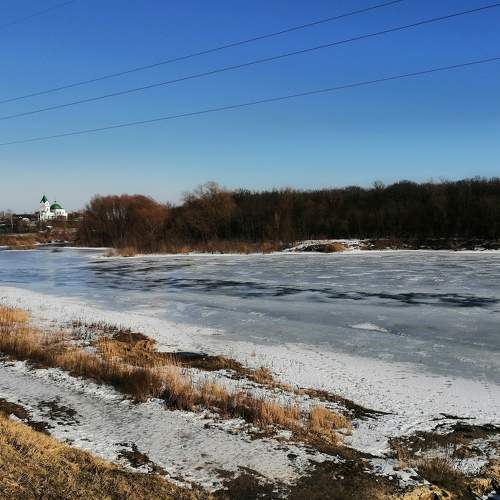 Photo #7378947