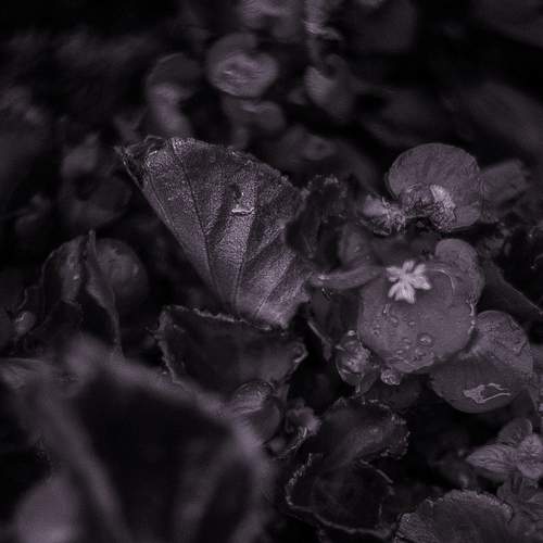 Photo #7378972