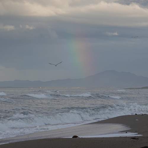 Photo #7379047