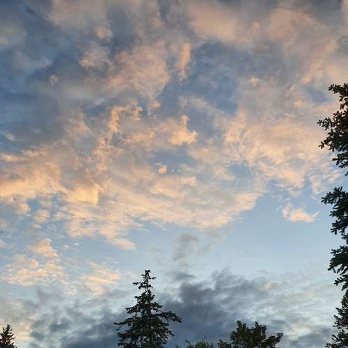 Photo #7379076