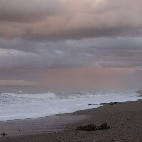 Photo #7379166