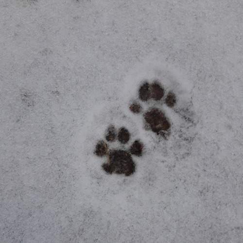 Photo #7379357
