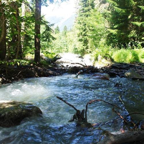 Photo #7379417