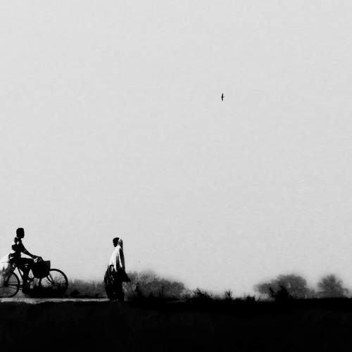 Photo #7379497