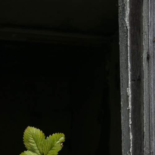 Photo #7379502