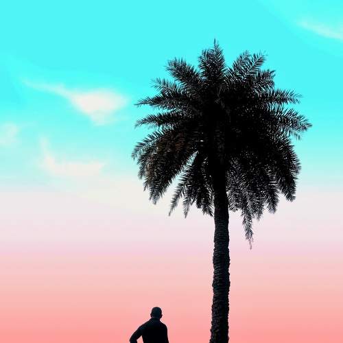 Photo #7379620