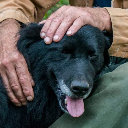 Photo #7379630
