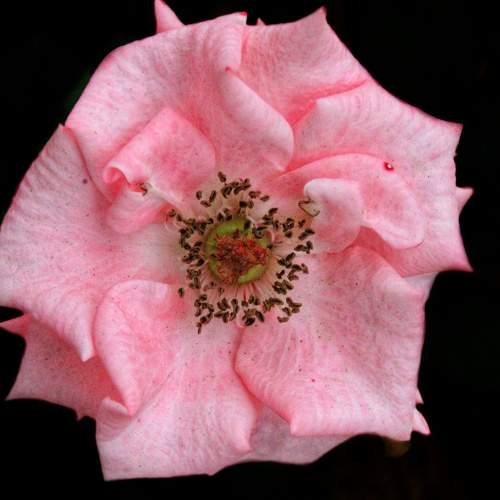 Photo #7379697