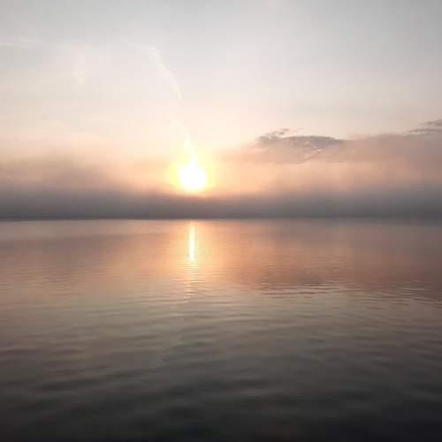 Photo #7379961