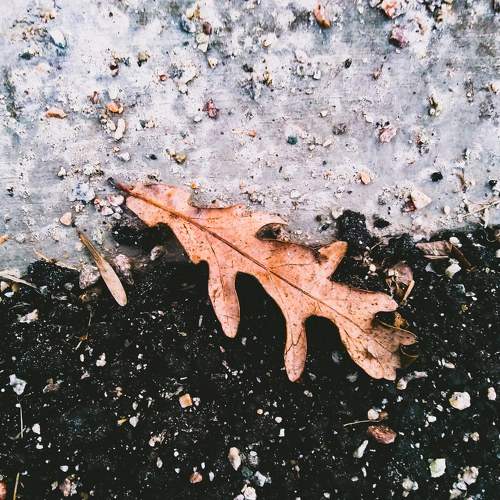 Photo #7380011