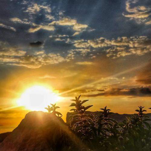 Photo #7380036