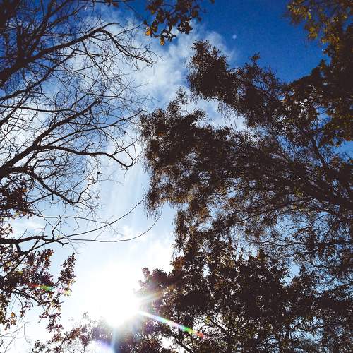 Photo #7380044