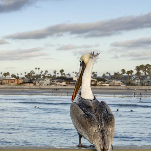 Photo #7380115