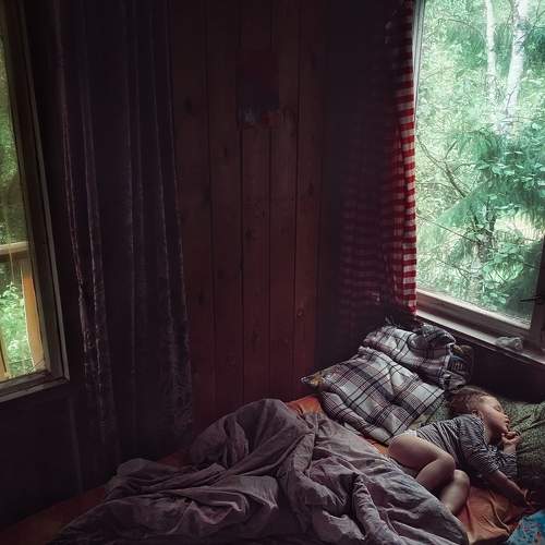 Photo #7380130