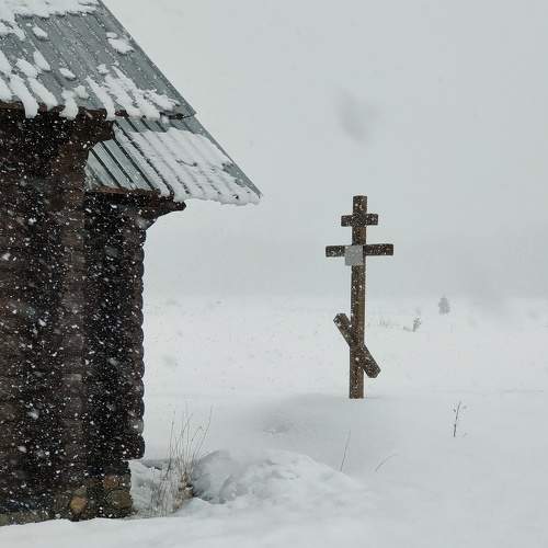 Photo #7380174