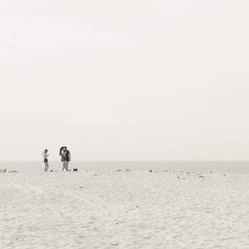 Photo #7380262