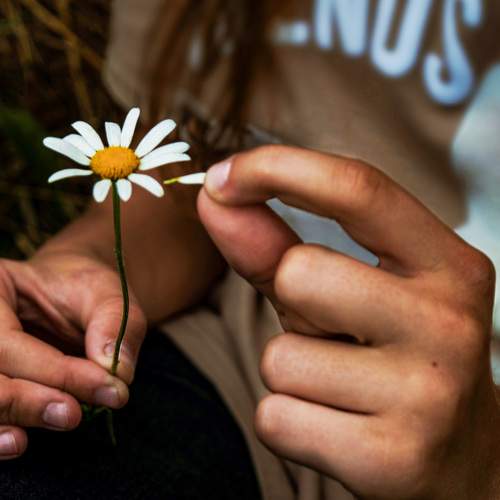 Photo #7380274