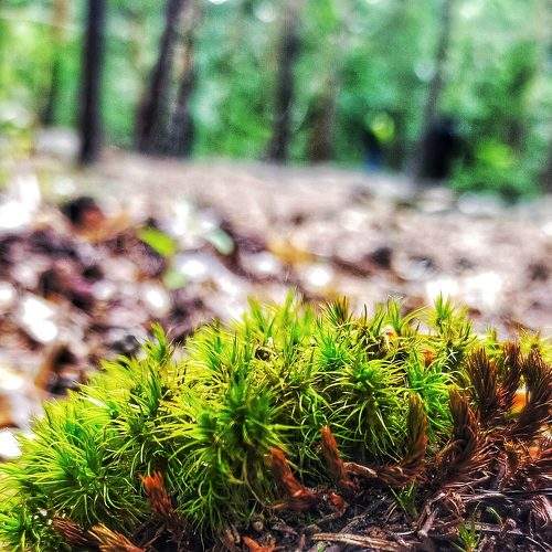 Photo #7380324