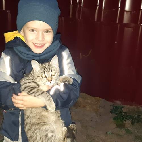 Photo #7380333