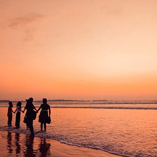 Photo #7380448